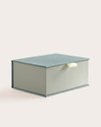 Handcrafted Antique and Lichen coloured keepsake box
