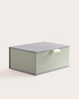 Handcrafted Silver and Lichen coloured keepsake box
