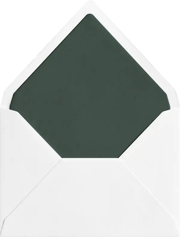 Sequoia coloured envelope liner